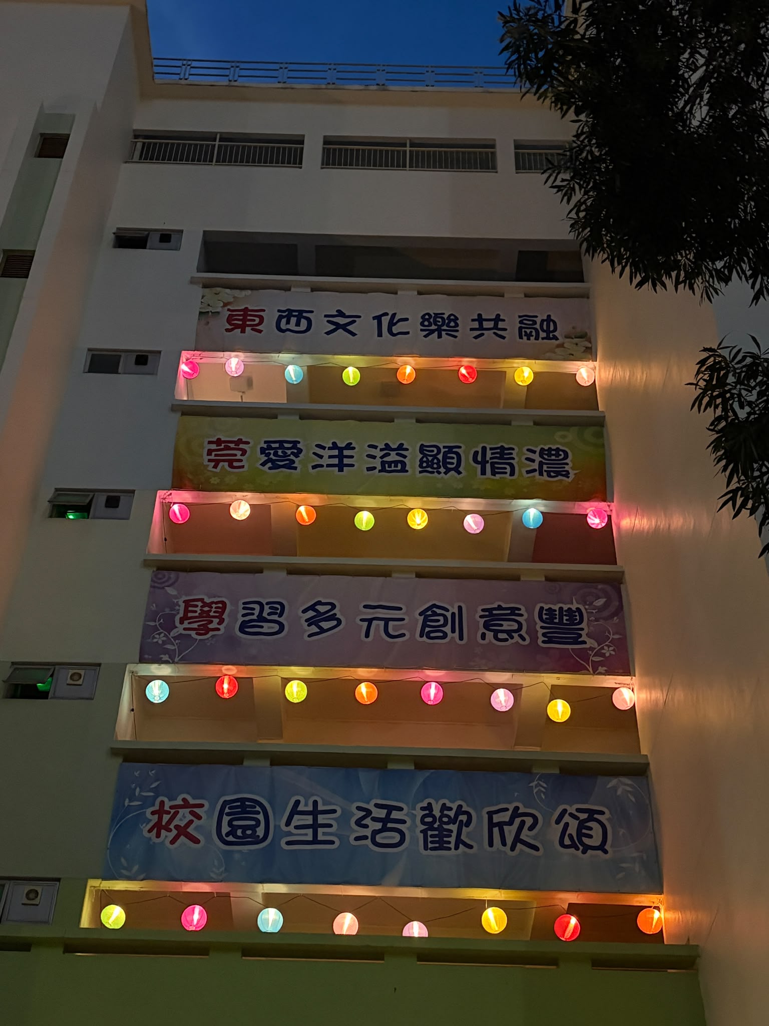 圖片 16