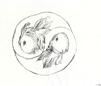 6C 古妮嘉 水墨畫(動物)